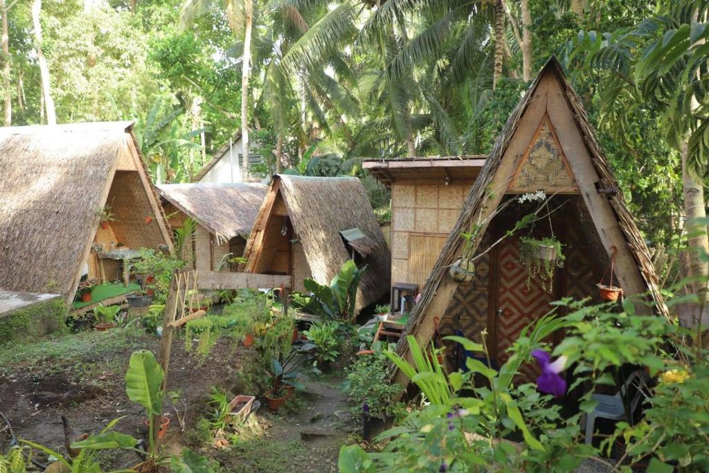 a group of huts in a forest with trees at SHUKRAN Apartelle in Siquijor