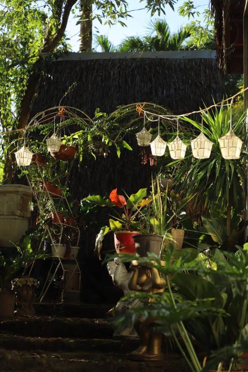 Um jardim no exterior de SHUKRAN Apartelle
