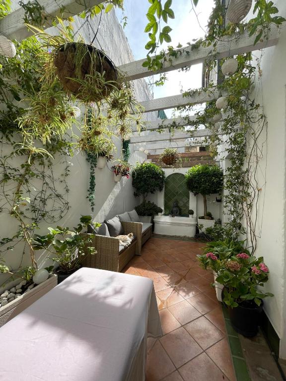 Zahrada ubytování Home Away From Home Marbella