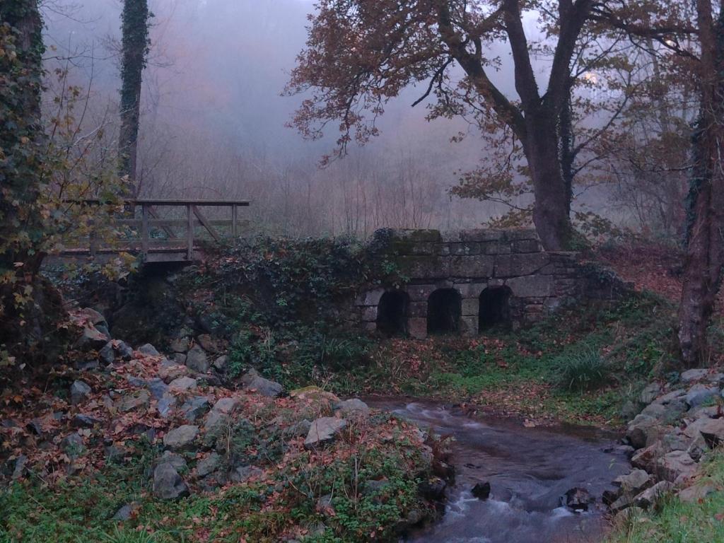a bridge over a stream in a misty forest at Relais De La Tour in Callac