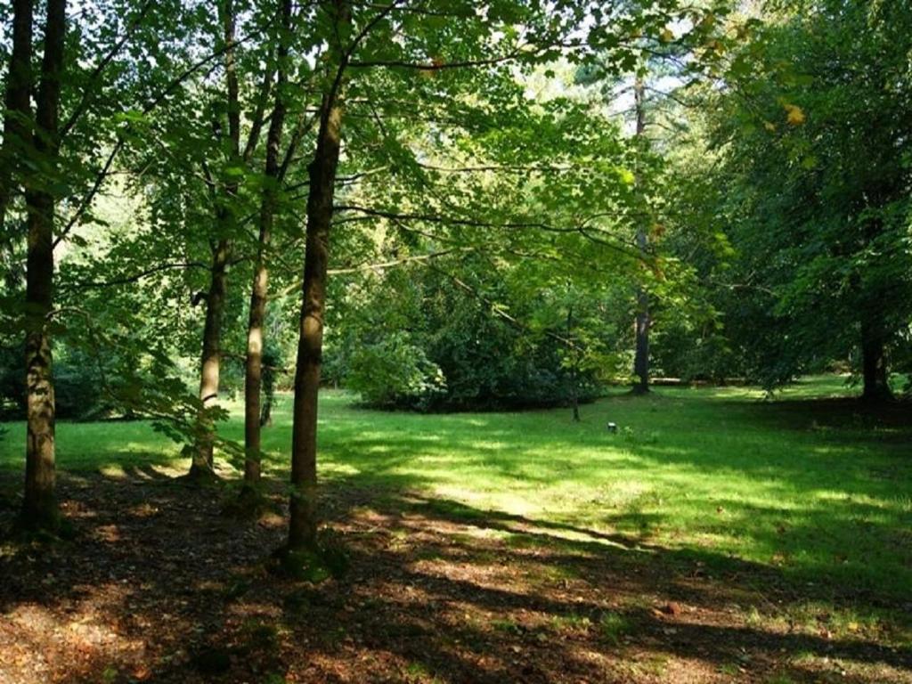 Zahrada ubytování LEBAS-LADIN - Bayeux Ville Touristique