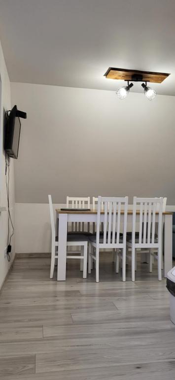 Televízia a/alebo spoločenská miestnosť v ubytovaní Apartament DWA DĘBY