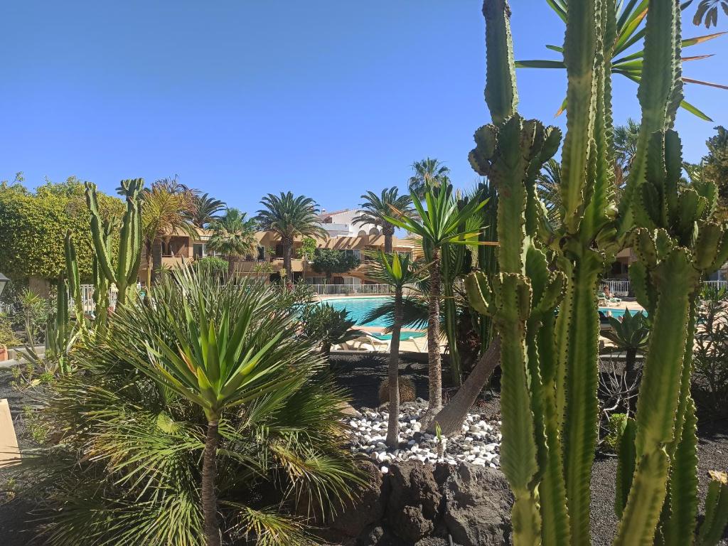 The swimming pool at or close to ElRincónDeSara