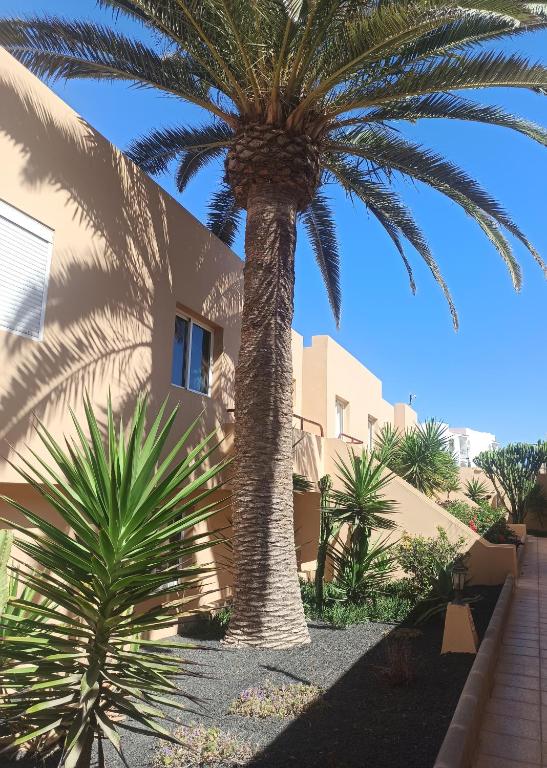 The building in which Az apartmant is located