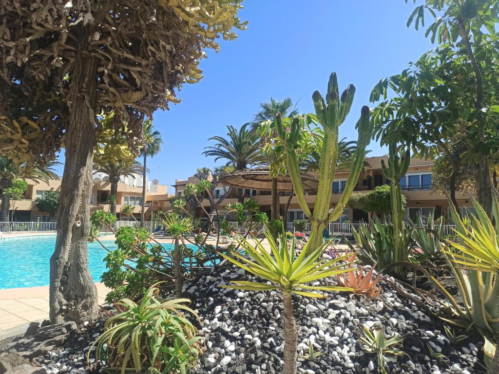 The swimming pool at or close to ElRincónDeSara