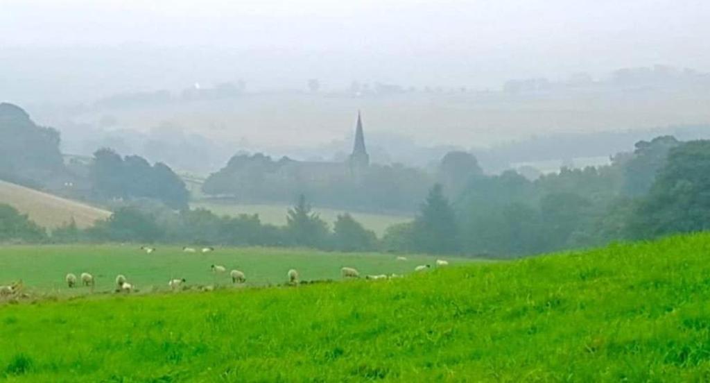 a herd of sheep grazing in a green field at Ryburn View Cottage in Luddenden Foot