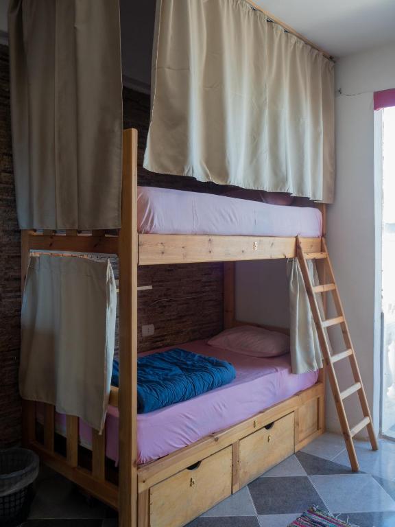 My Hostel in Dahab - Dive center - 9