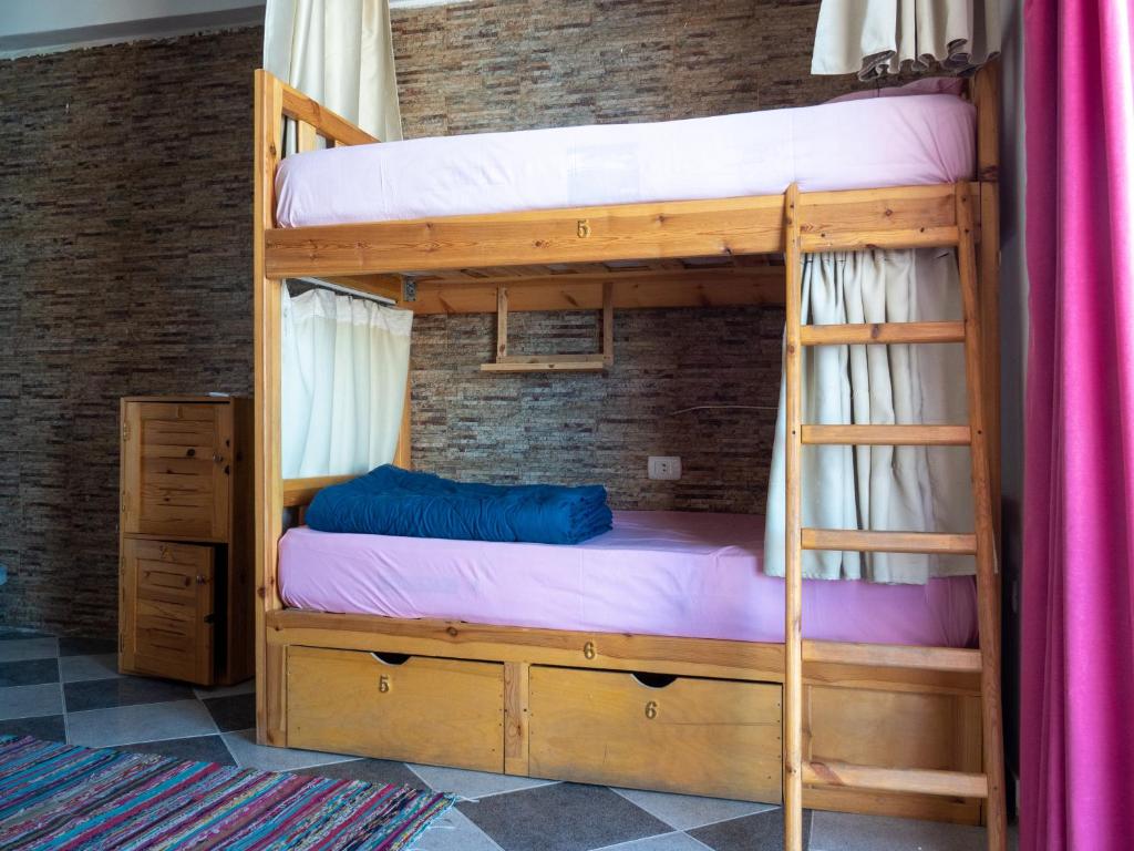 My Hostel in Dahab - Dive center - 5