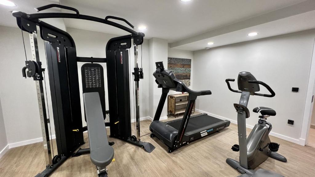 Fitness centrum a/nebo fitness zařízení v ubytování Aparthotel Luz de Gades - Suites Spa Gym - Adults Only