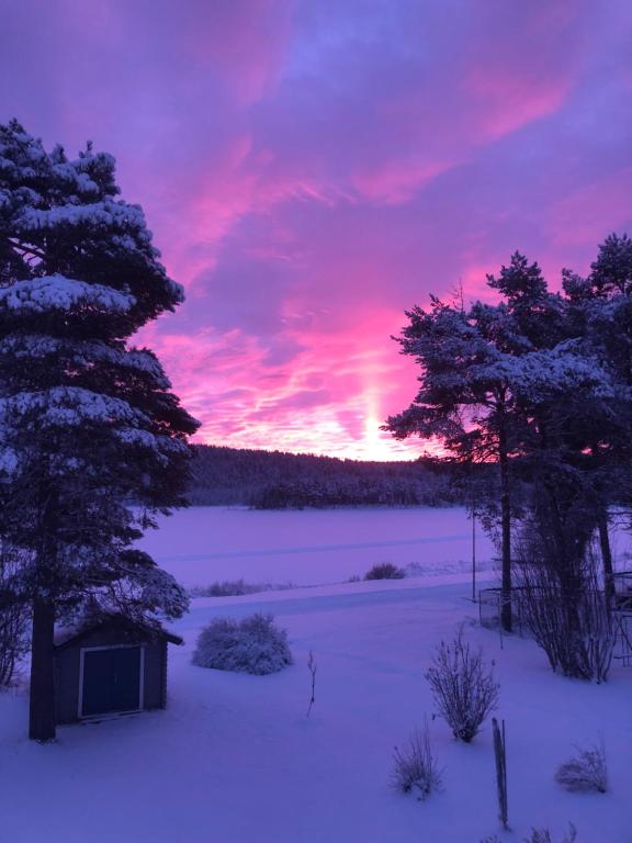 een met sneeuw bedekt veld met bomen en een zonsondergang bij Lovely house with a beautiful view in Jokkmokk in Jokkmokk