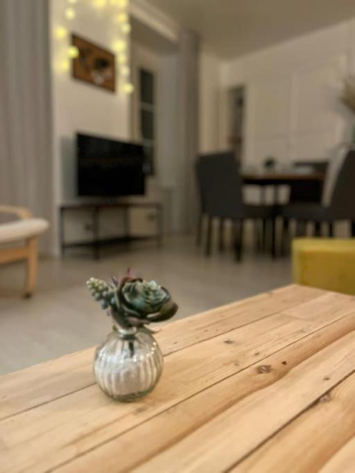 Televízia a/alebo spoločenská miestnosť v ubytovaní Appartement - Centre ville historique - Avec vue