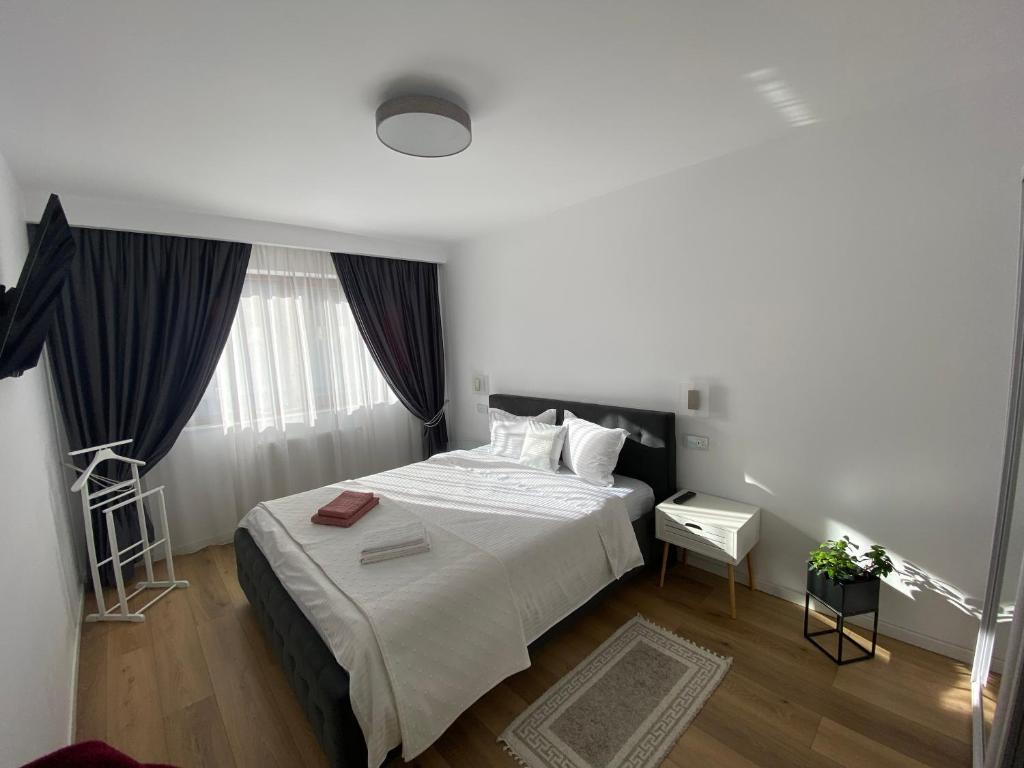 Apartament Terra - Housity