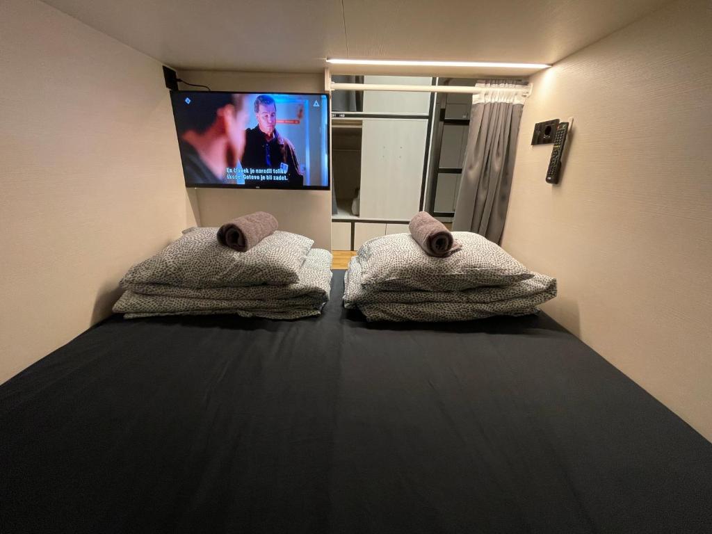 um quarto com uma cama e uma televisão de ecrã plano em Sleep&Go Hostel Ljubljana em Liubliana