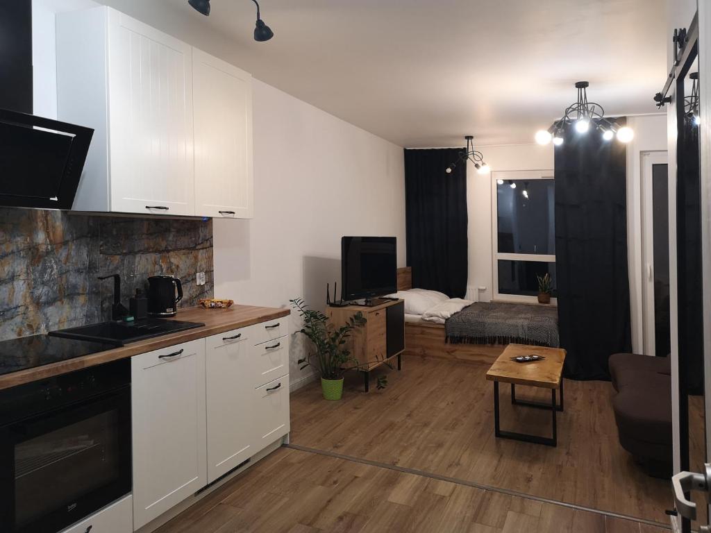 Kuchyň nebo kuchyňský kout v ubytování Apilois Apartament