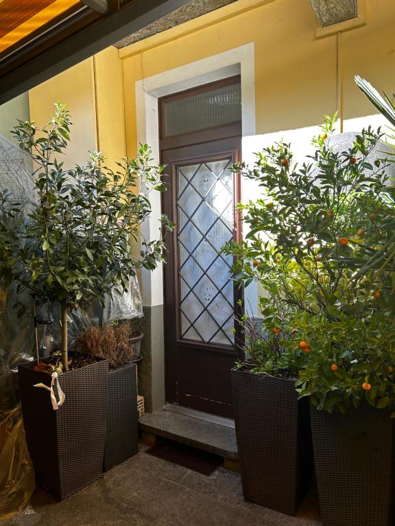 Zahrada ubytování Charming Room in the heart of Locarno