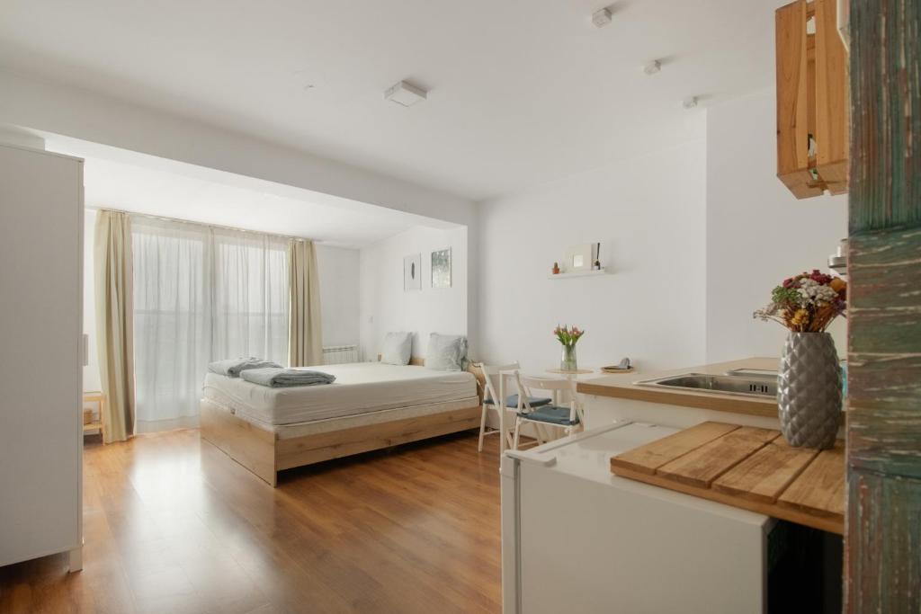 Art Studio Studentski grad - Studio Apartment