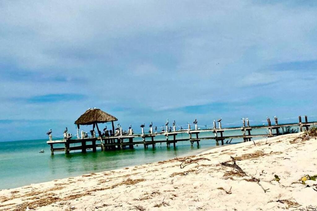 a group of birds sitting on a pier on the beach at Beachfront apartment with swimming pool. One bedroom in Celestún