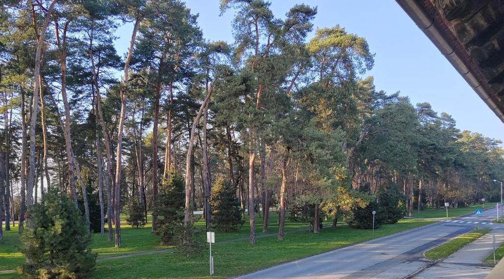 una calle con árboles al lado de una carretera en Apartment Una en Bjelovar