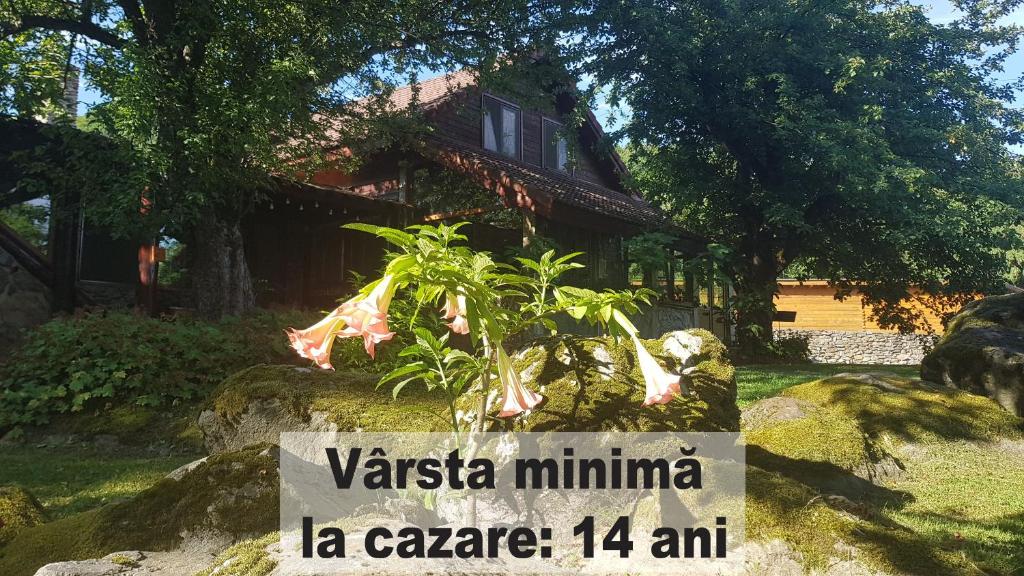 a sign in front of a house with a plant at Casa Bunicului in Vistisoara