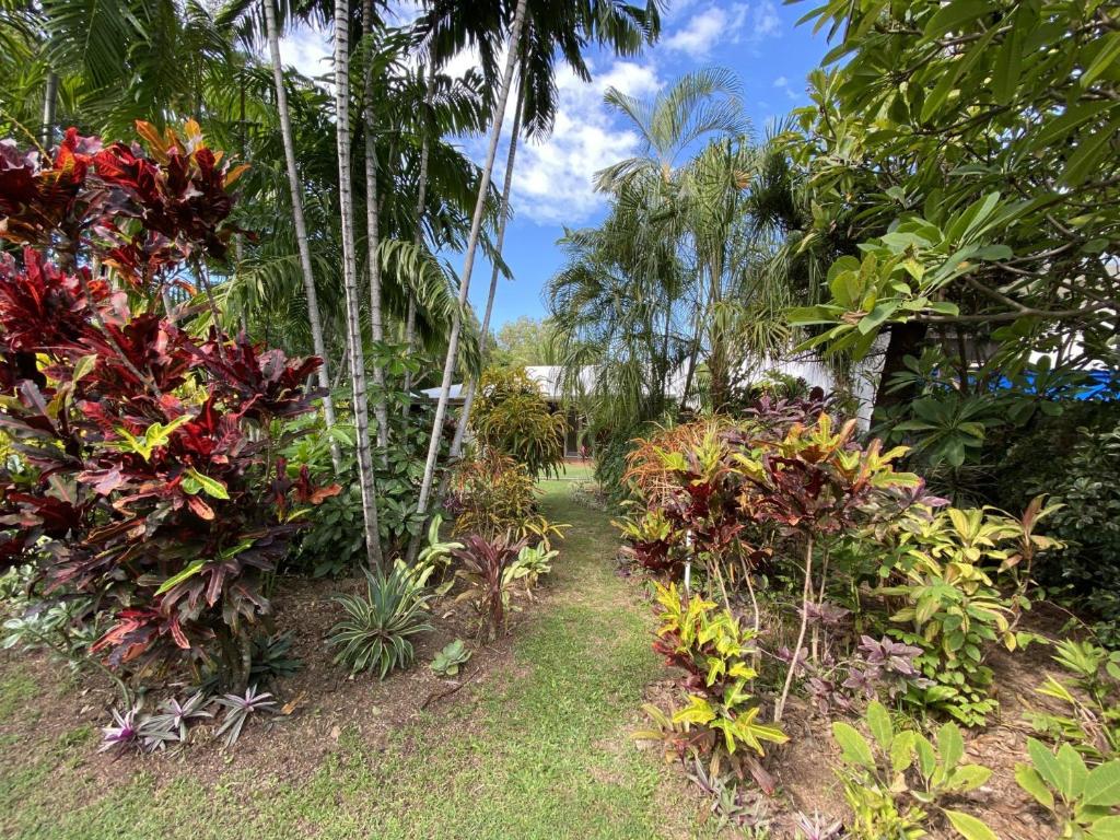 een pad door een tuin met tropische planten bij Melita in Arcadia