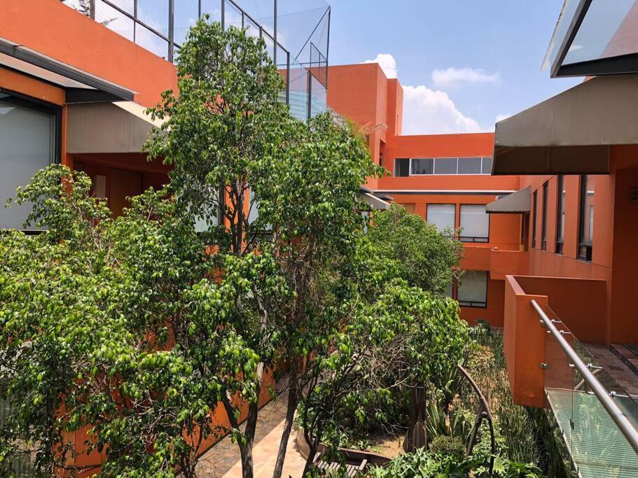 um edifício com árvores em frente a um edifício em Lujoso Loft moderno Santa Fe vive en la naturaleza em Cidade do México