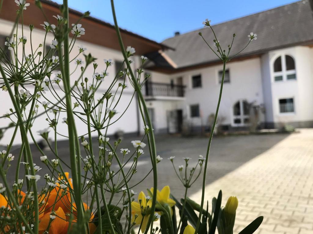 una planta con flores blancas delante de un edificio en Vogelhubergut - Familie Scherleithner, en Vorchdorf