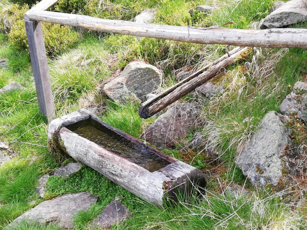 Fotografia z galérie ubytovania Apart Waldesruh v destinácii Arzl im Pitztal
