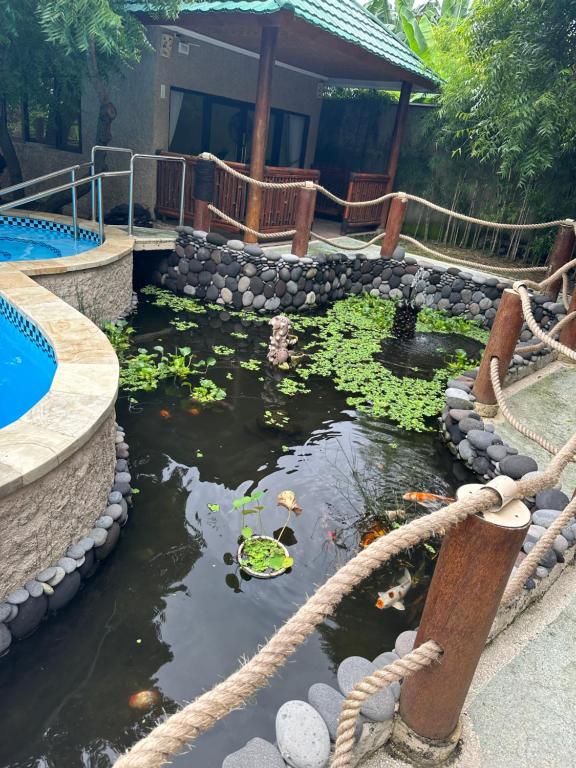 Bazén v ubytování Lunar Dive Resort: Bamboo Villas nebo v jeho okolí