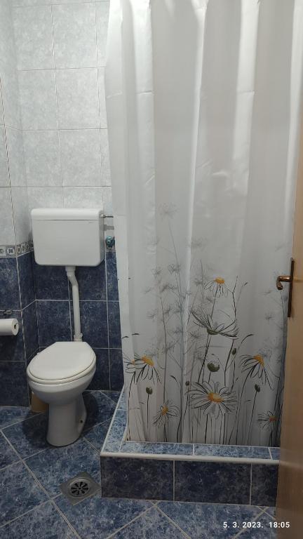 a bathroom with a toilet and a shower curtain at Pejovic Guest House in Sutomore