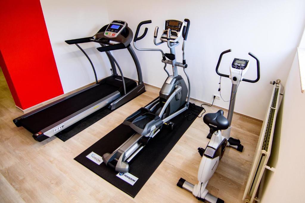 Fitness centrum a/nebo fitness zařízení v ubytování Sporthotel Zum Hohen Eimberg