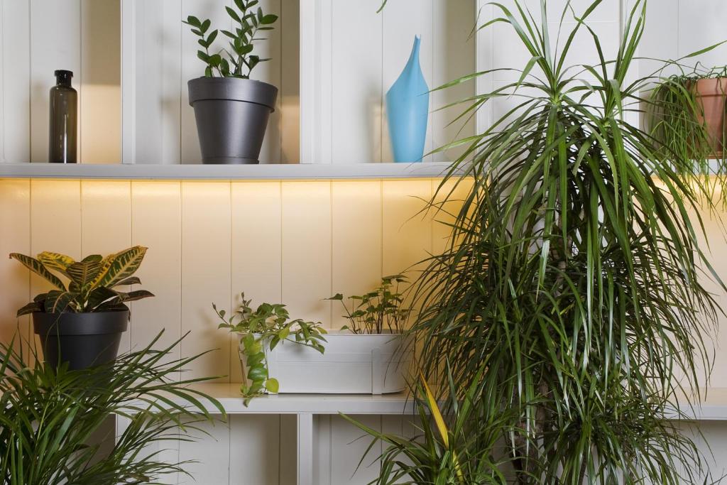 Praktik Garden - Resim 19