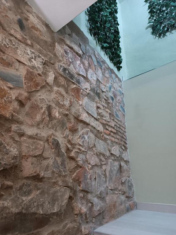 Estudios La Casina - 9