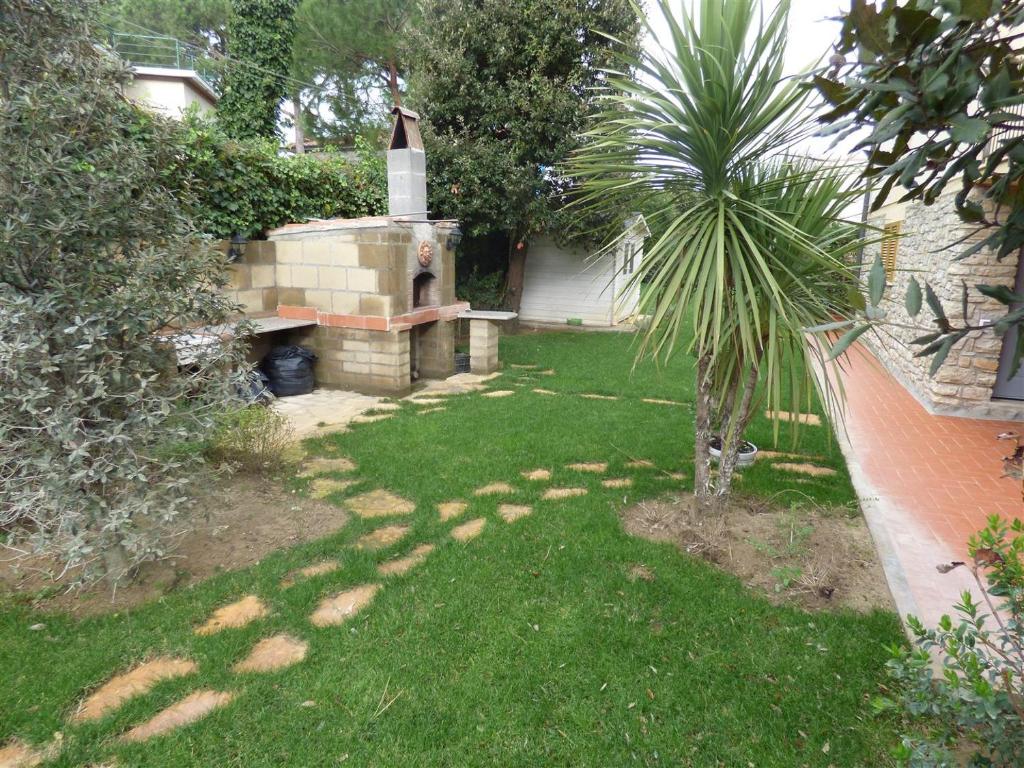 a backyard with a brick oven and a palm tree at Casa Vannini in Tirrenia