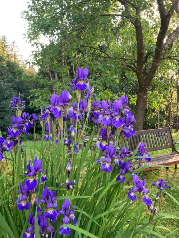 Penzion Na Habeši - 14