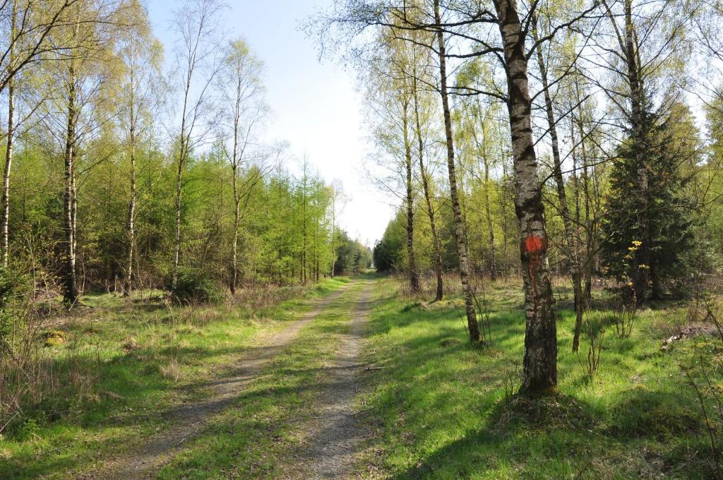 Příroda nedaleko hostelu