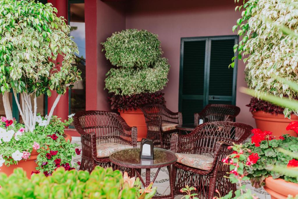 Zahrada ubytování Villa Amore Accommodation