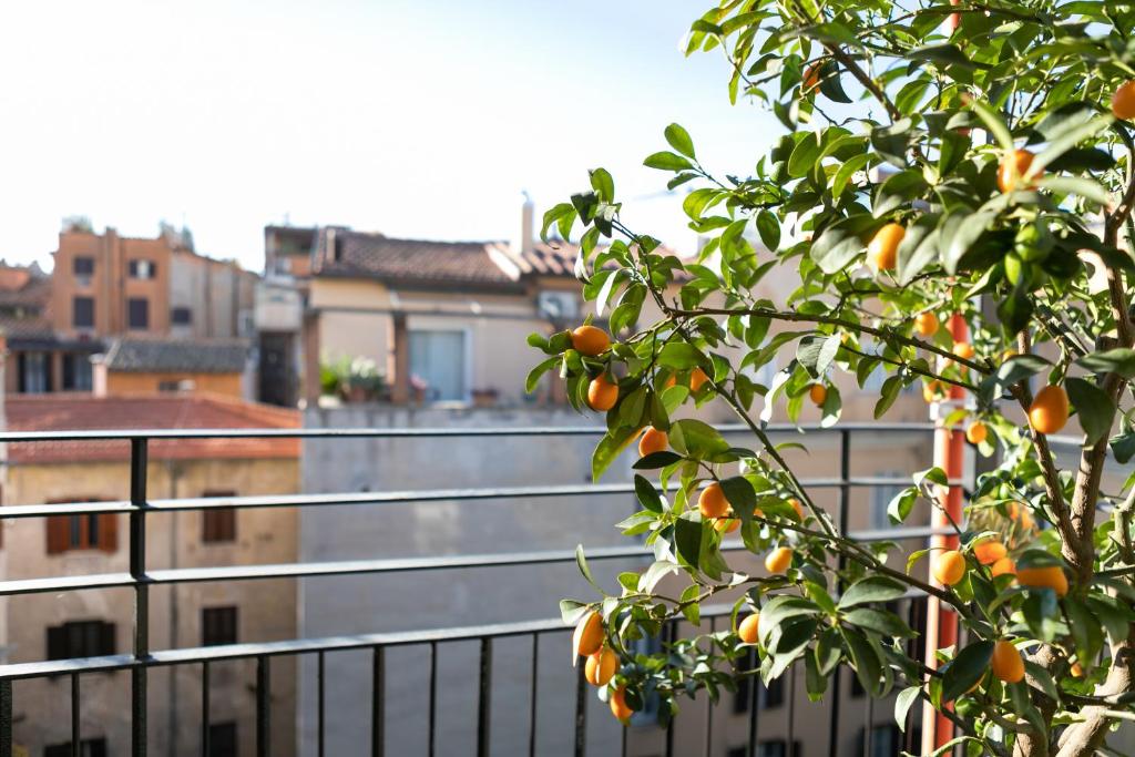 Incentrum - Resim 44