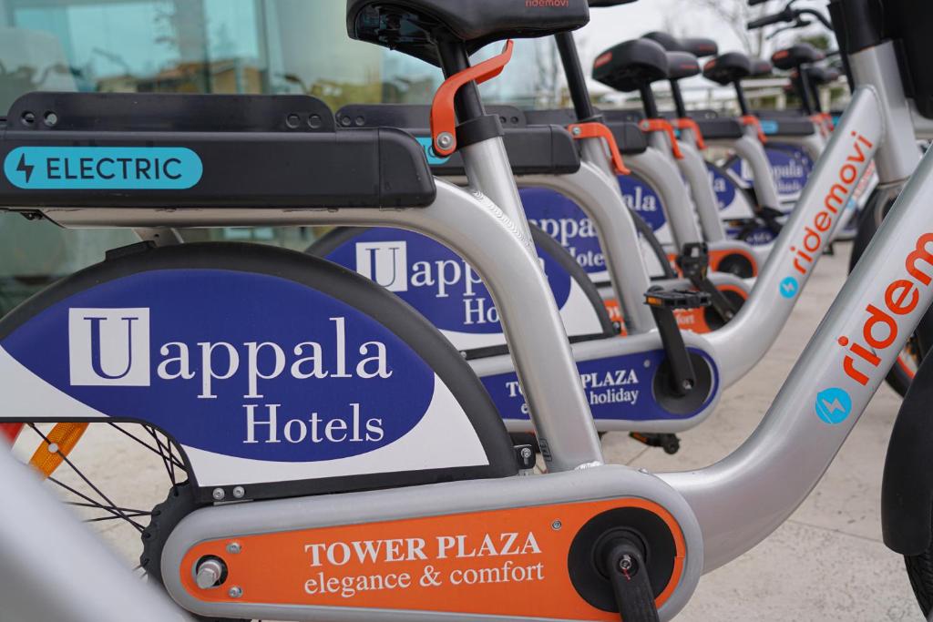 Jazda na bicykli v okolí ubytovania Pisa Tower Plaza