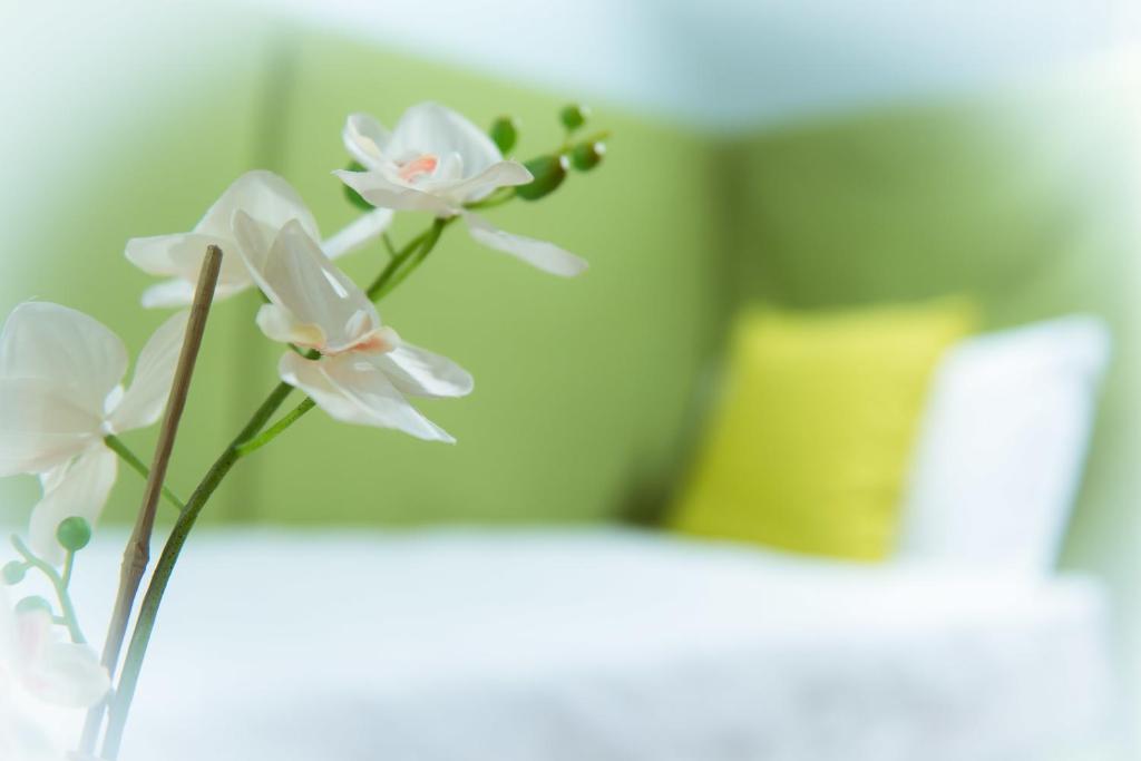 B&B San Benedetto - 14