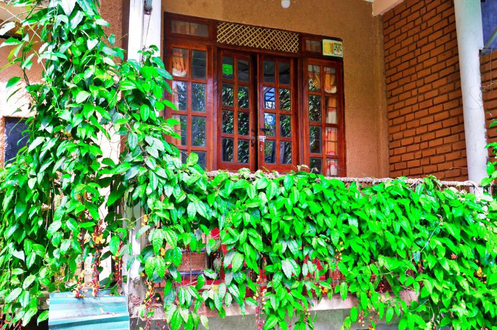 Zahrada ubytování Ella Green Cottages