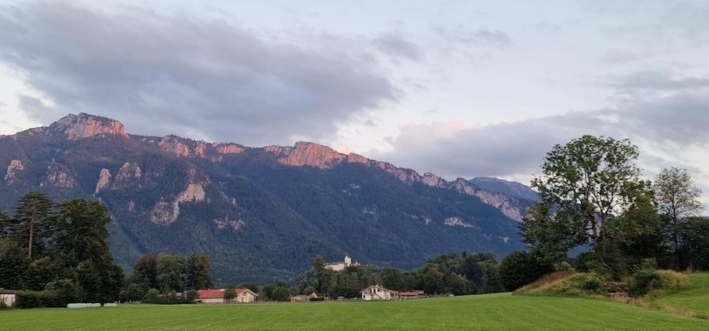 a green field with mountains in the background at ciao-aschau FeWo Röder in Aschau