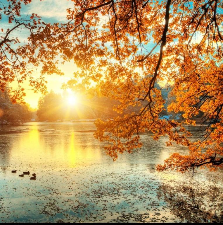 un coucher de soleil sur un lac avec des canards dans l'eau dans l'établissement La vie là, à Saint-Georges-sur-Eure