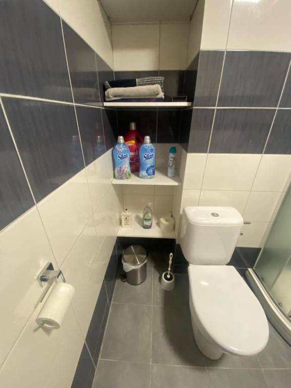 Koupelna v ubytování Apartmán v Lesní