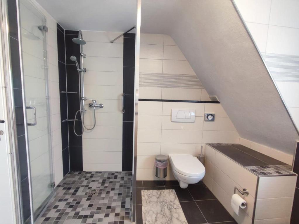 a bathroom with a shower and a toilet and a sink at Gästehaus im Alten Fährhaus in Cochem