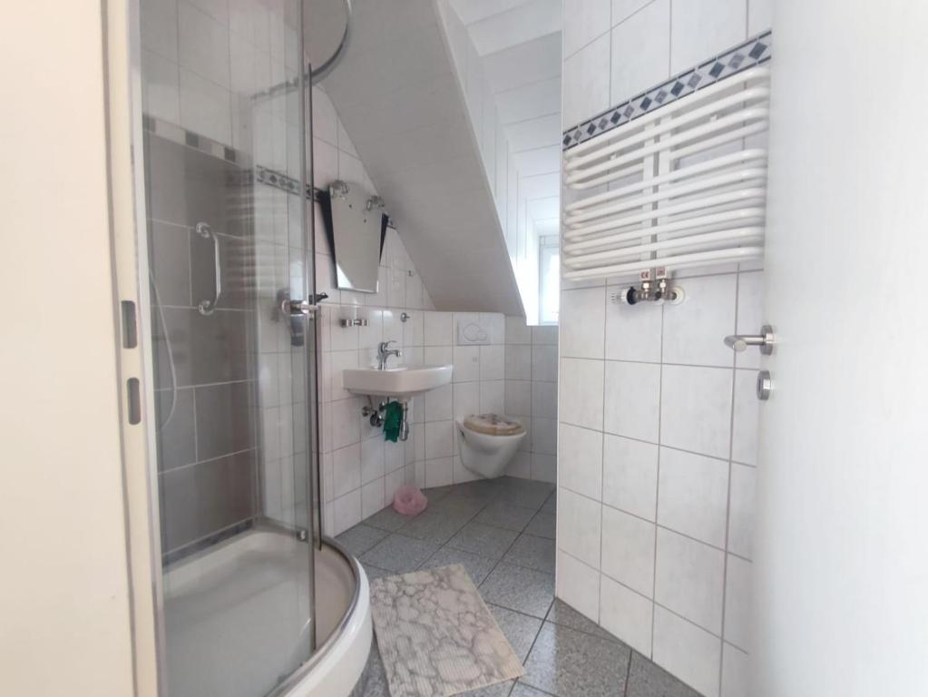 a bathroom with a shower and a toilet and a sink at Gästehaus im Alten Fährhaus in Cochem