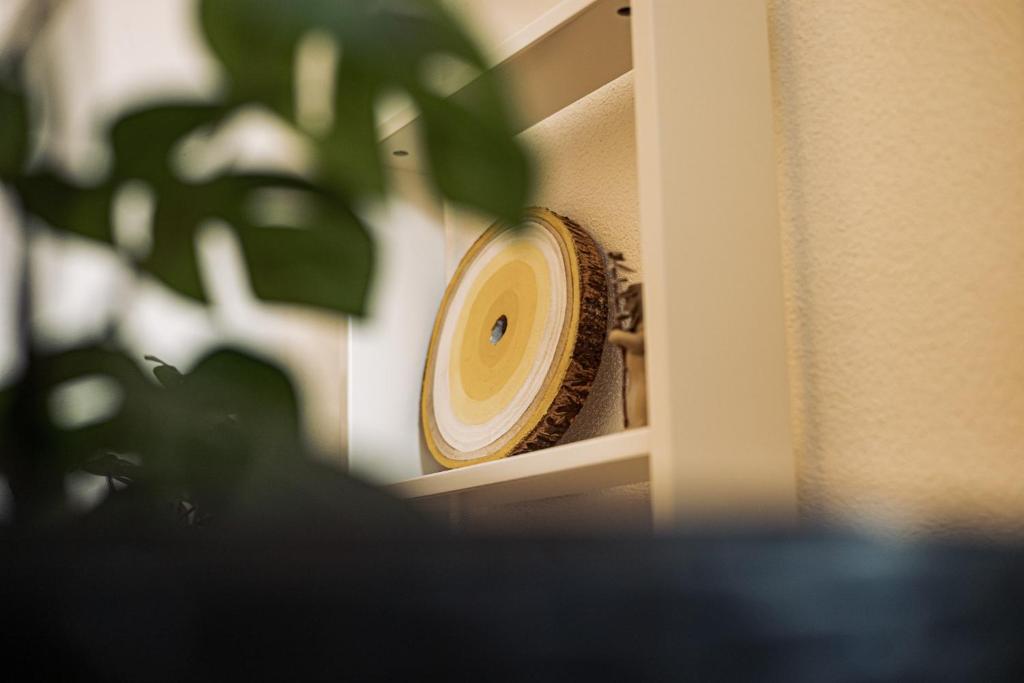 a clock on a wall next to a plant at Breathe In in Zambujeira do Mar