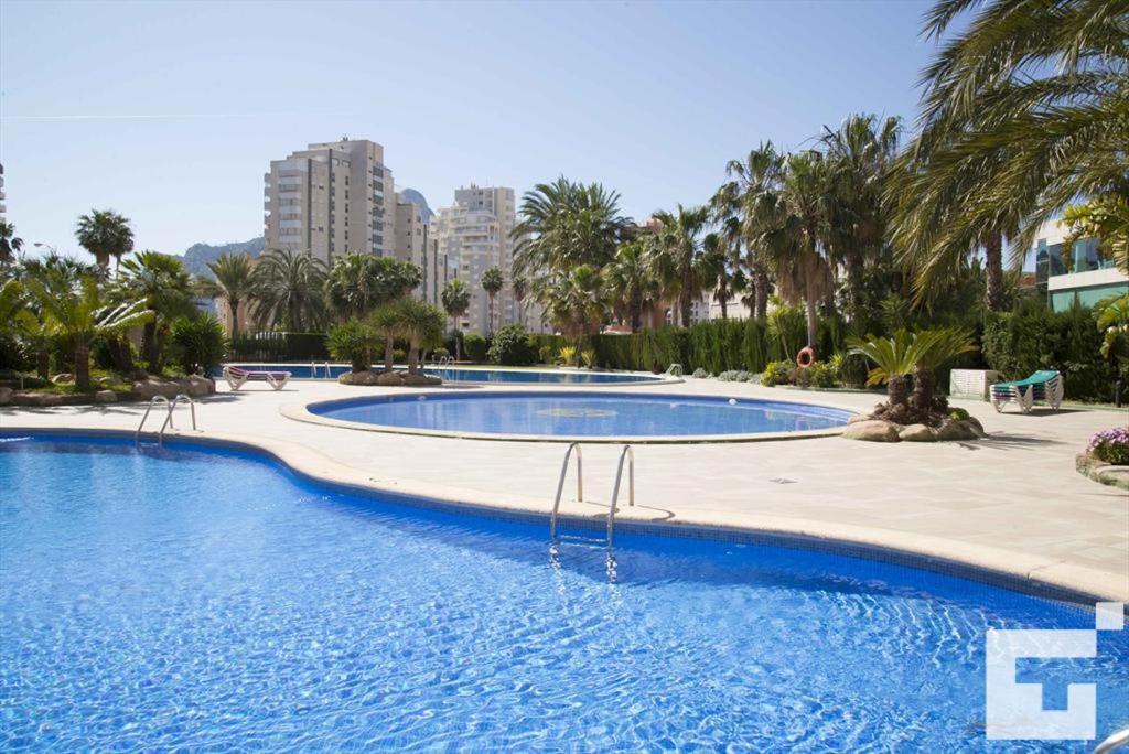 una gran piscina en un complejo con palmeras en Apartamento Coralbeach 318B - Grupo Turis, en Calpe