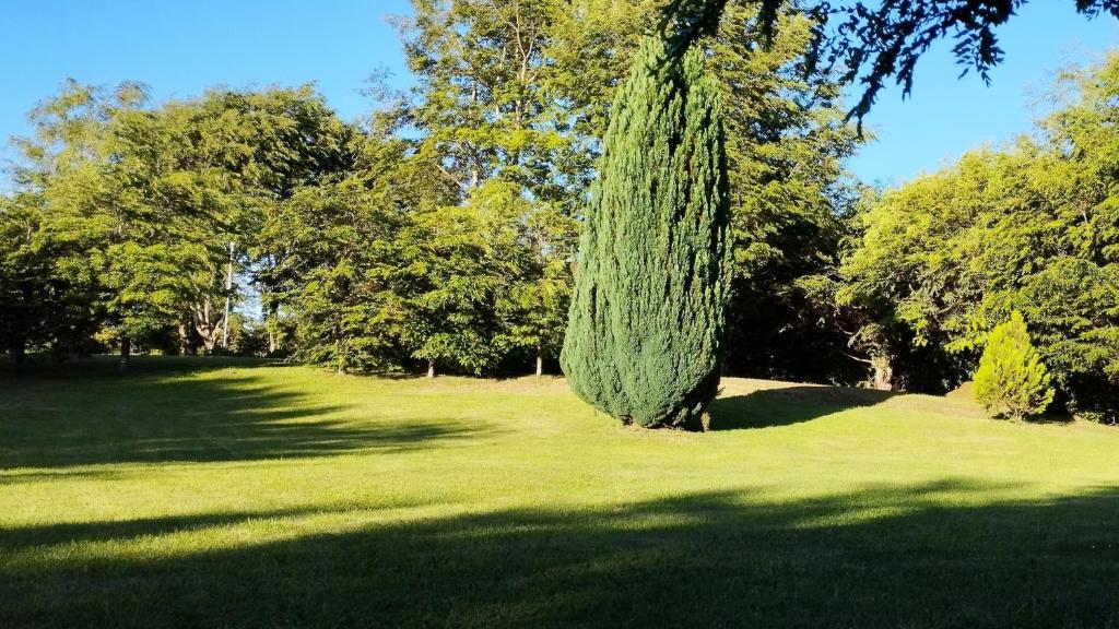Zahrada ubytování Monoambiente Panguipulli