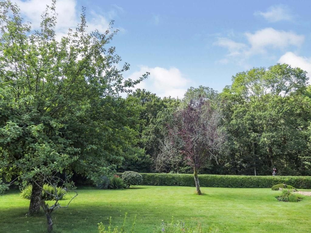ein grünes Feld mit Bäumen und Büschen in einem Park in der Unterkunft Woodland House B & B in Wimborne Minster