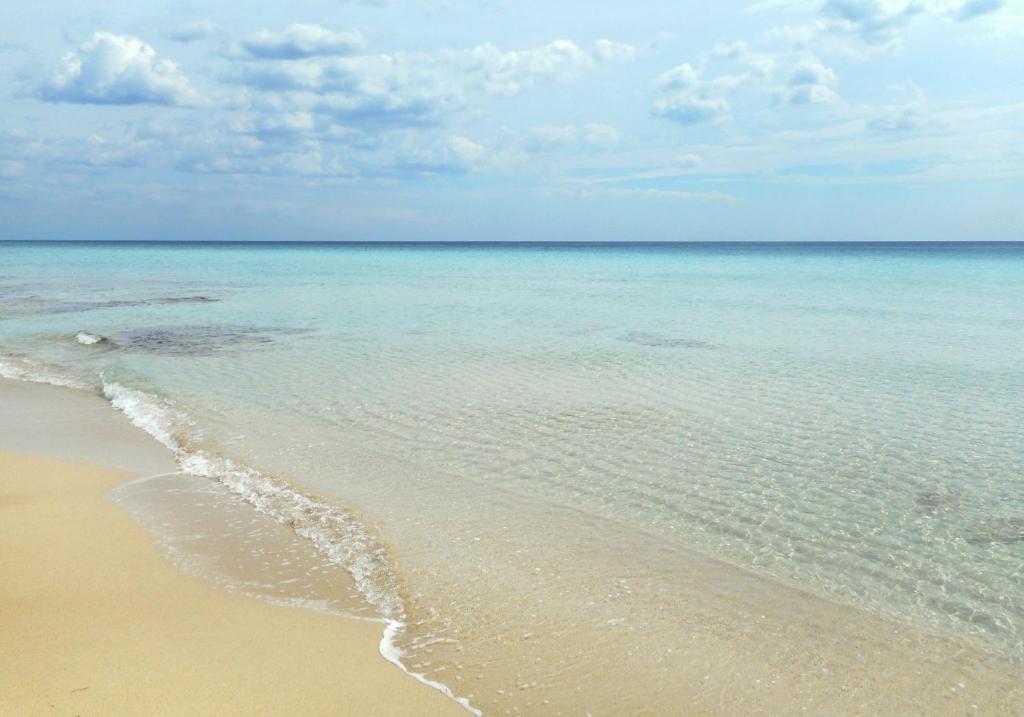 una spiaggia sabbiosa con l'oceano sullo sfondo di Casa Lido degli Angeli a 120m dal mare a Punta Prosciutto